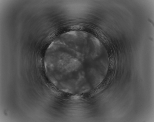 X0000091460375200709131738