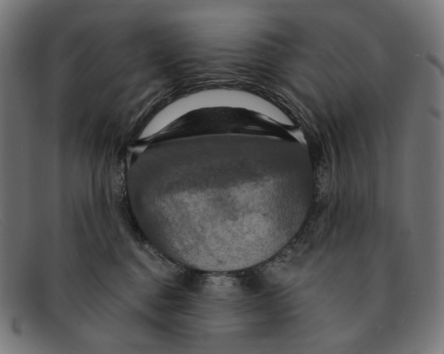 X0000091460376200709131738