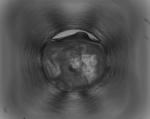 X0000091460377200709131738