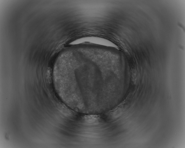 X0000091460378200709131738