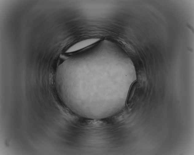 X0000091460379200709131738
