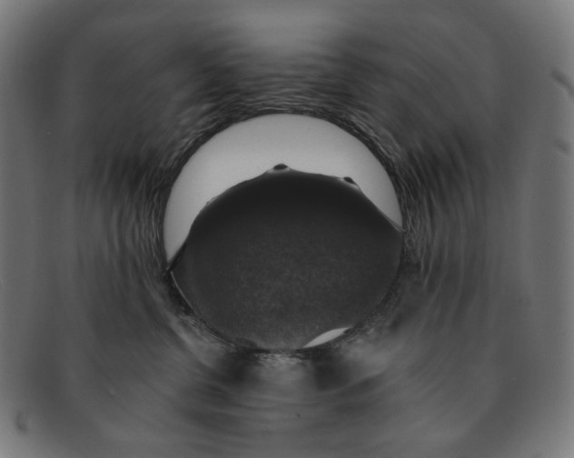 X0000091460380200709131738