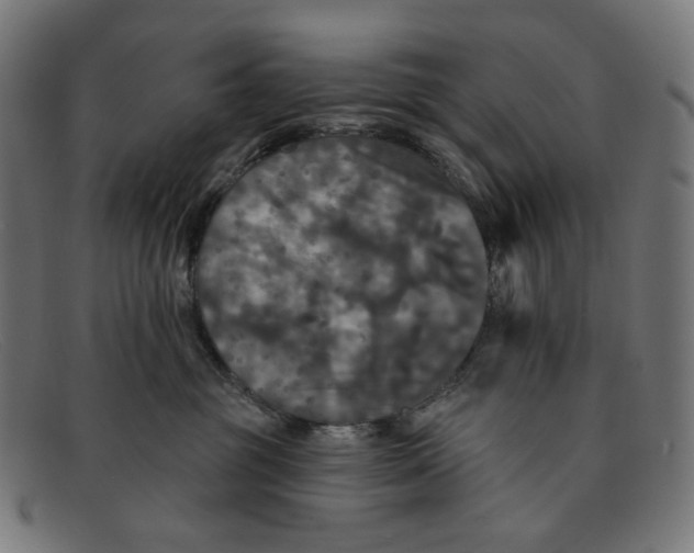 X0000091460381200709131738