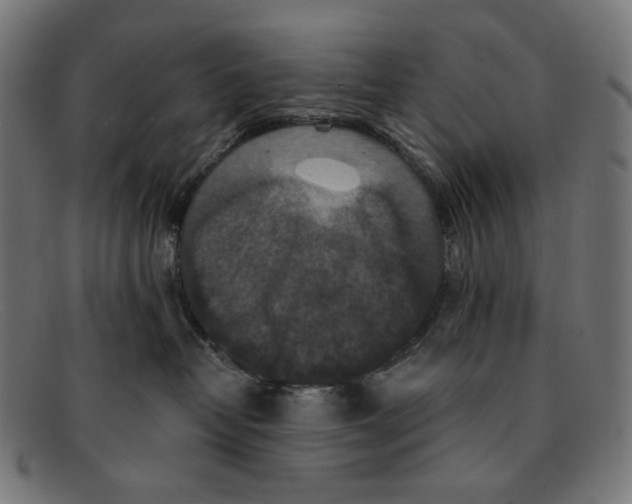 X0000091460382200709131738