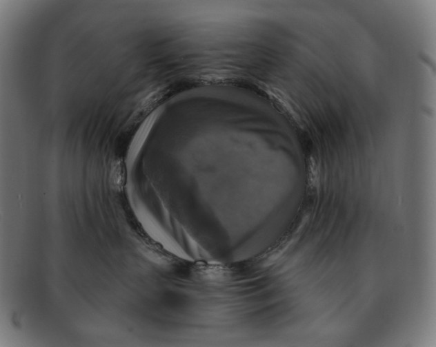 X0000091460383200709131738