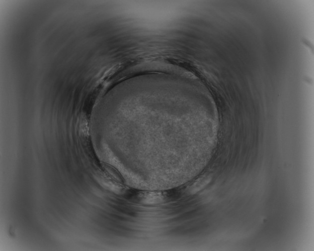 X0000091460384200709131738