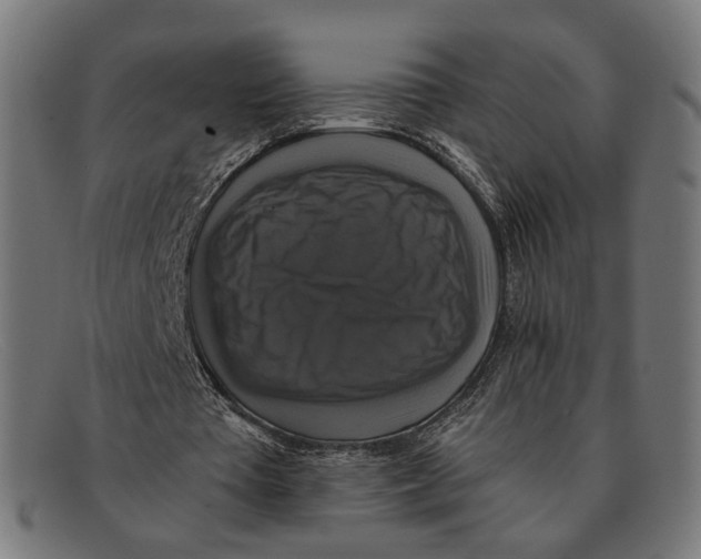 X0000091460385200709131738