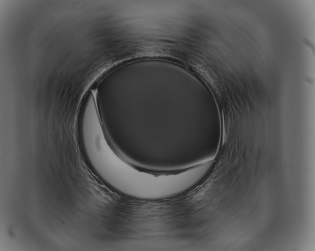 X0000091460387200709131738