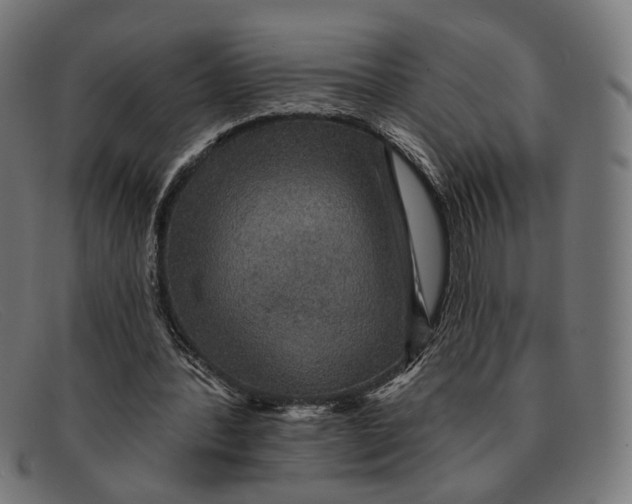 X0000091460388200709131738