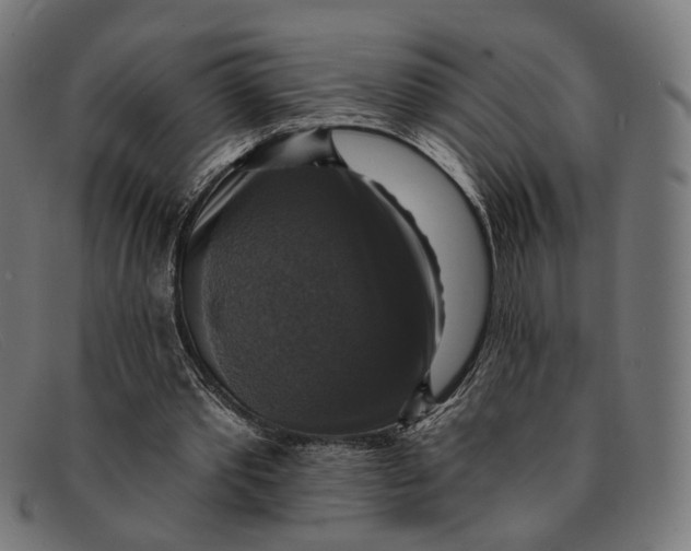 X0000091460389200709131738