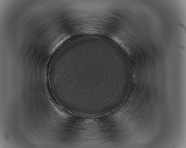 X0000091460390200709131738