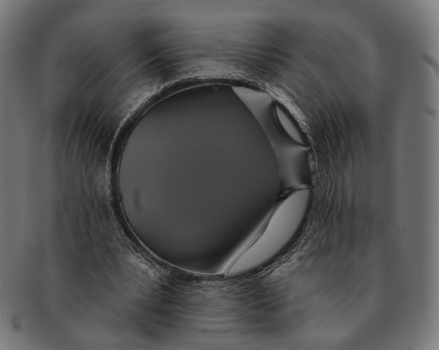 X0000091460391200709131738