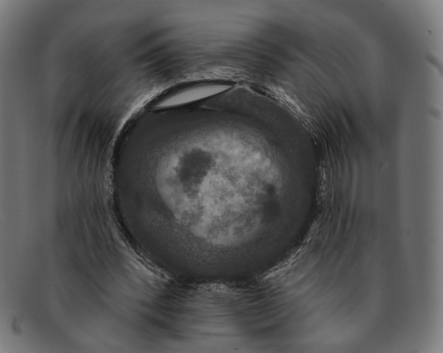 X0000091460392200709131738