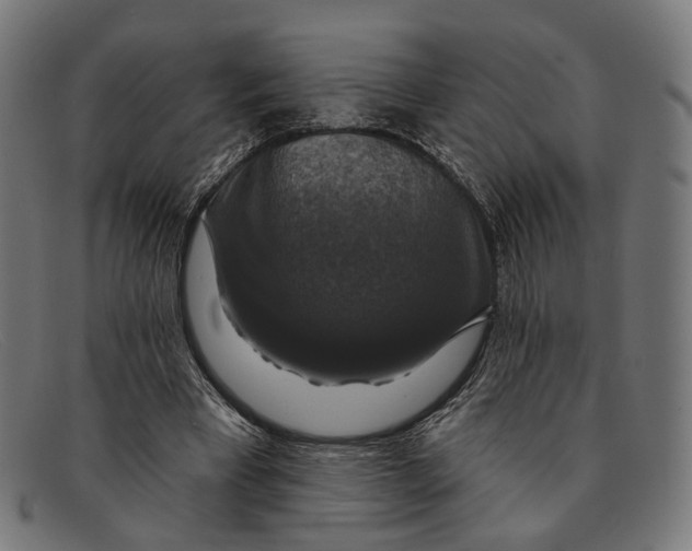 X0000091460393200709131738