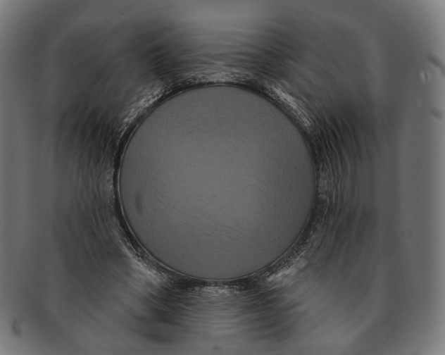 X0000091460394200709131738