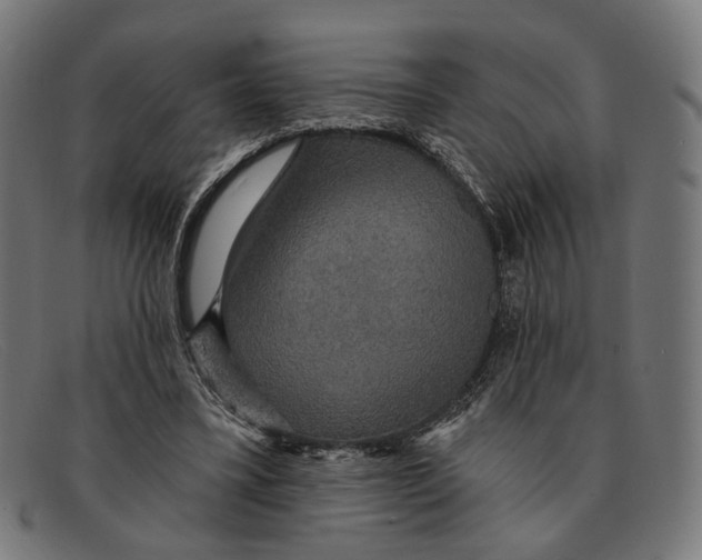 X0000091460395200709131738