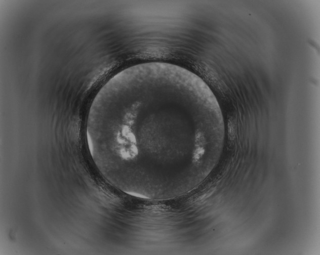 X0000091460396200709131738