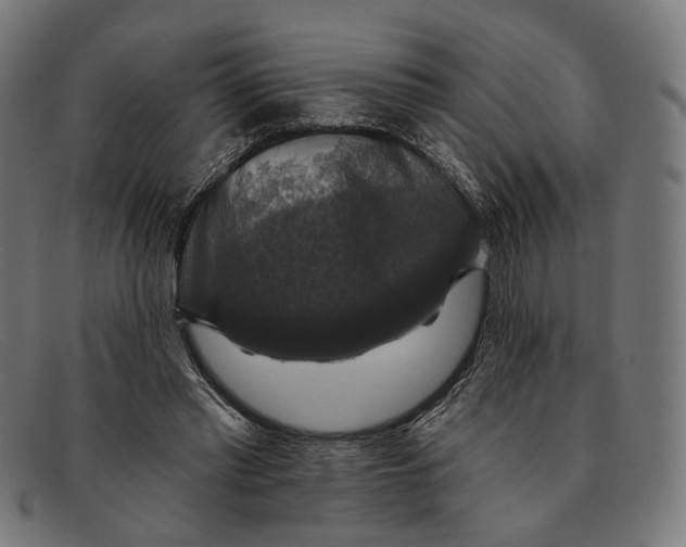 X0000091460397200709131738