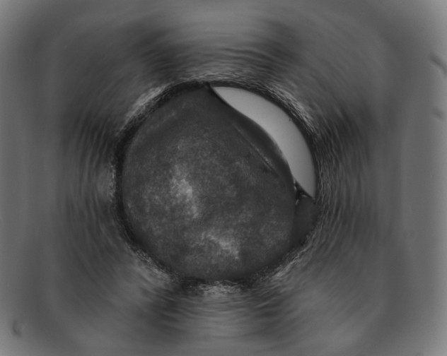 X0000091460400200709131738