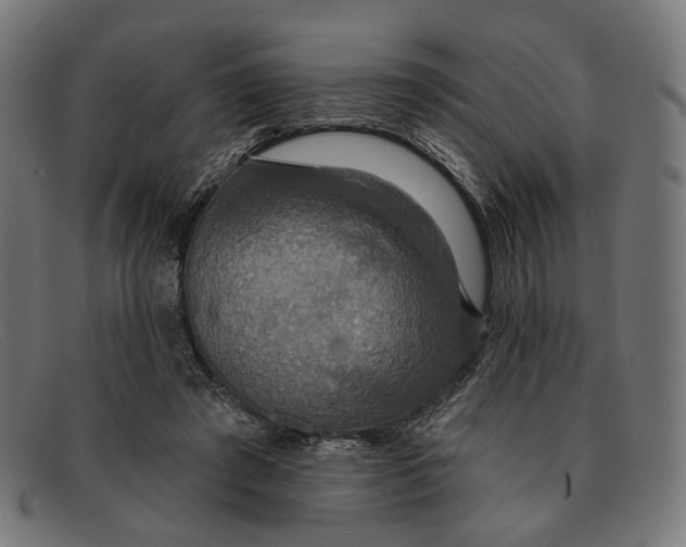 X0000091460401200709131738