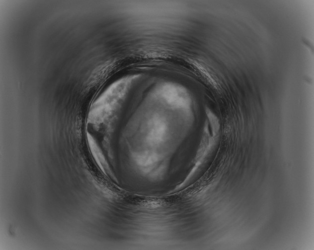 X0000091460402200709131737