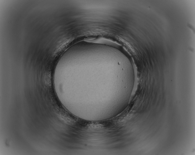 X0000091460403200709131737