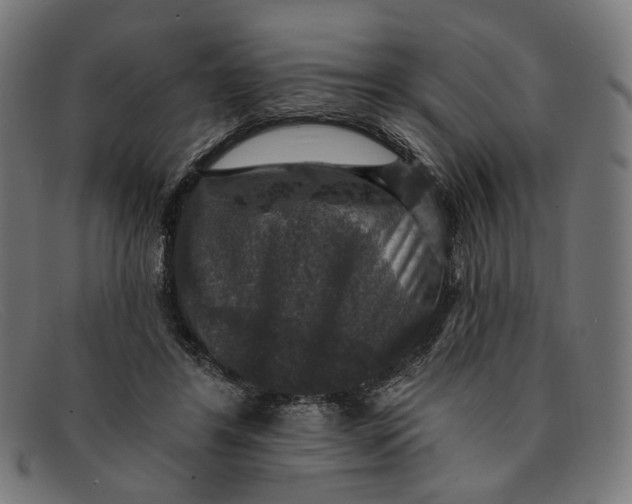 X0000091460404200709131737