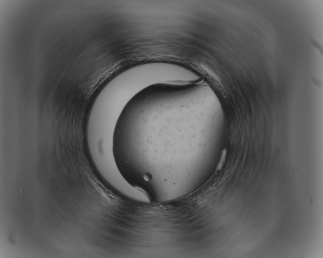 X0000091460405200709131737