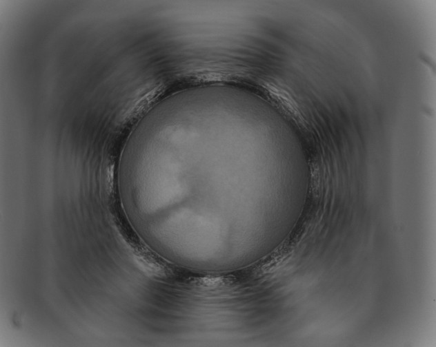 X0000091460406200709131737