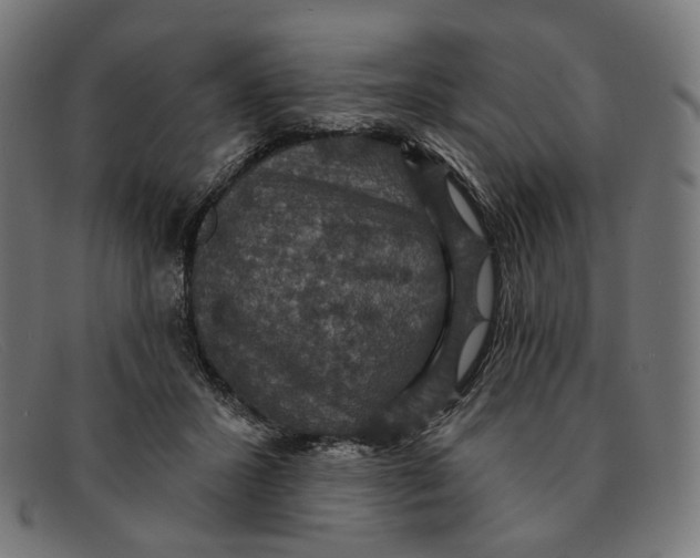X0000091460407200709131737