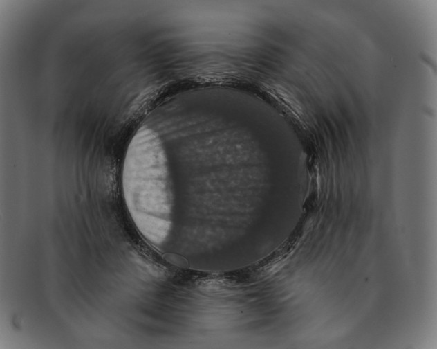 X0000091460408200709131737