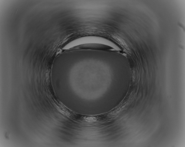 X0000091460409200709131737