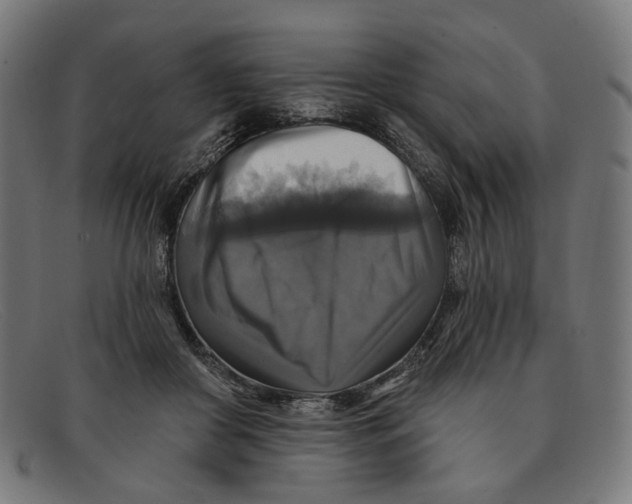 X0000091460410200709131737