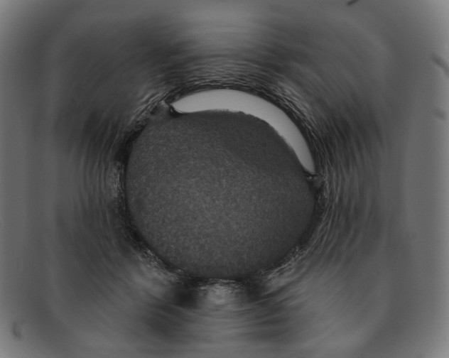 X0000091460412200709131737