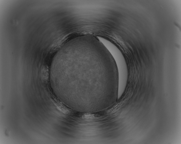 X0000091460413200709131737