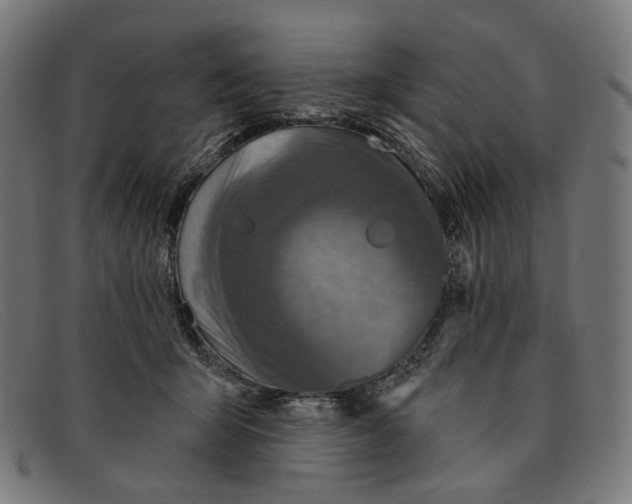 X0000091460415200709131737