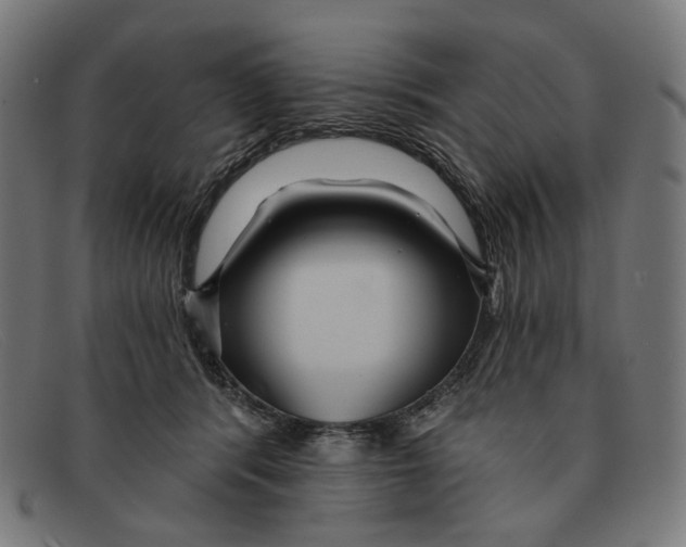 X0000091460416200709131737
