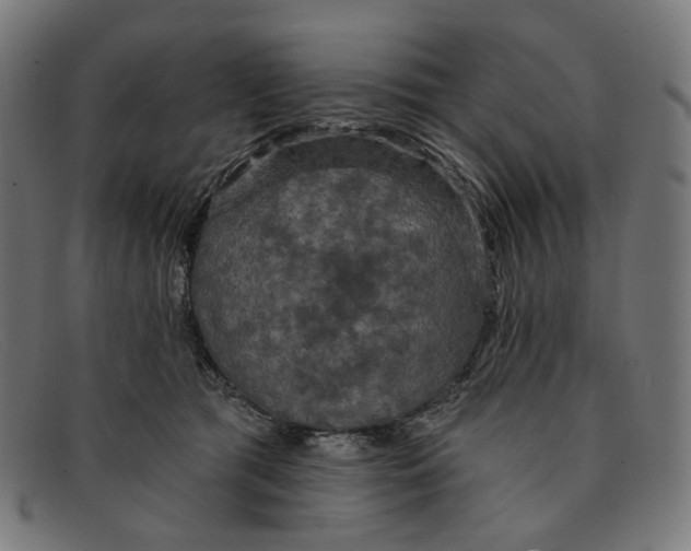 X0000091460417200709131737