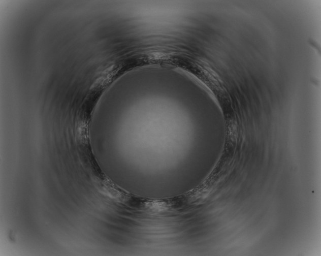 X0000091460419200709131737