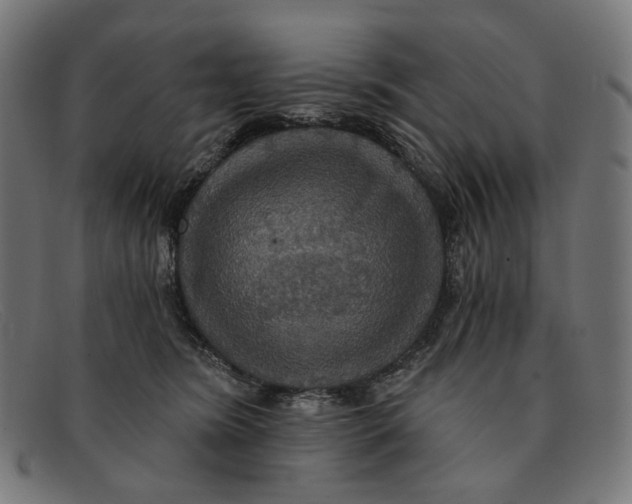 X0000091460420200709131737
