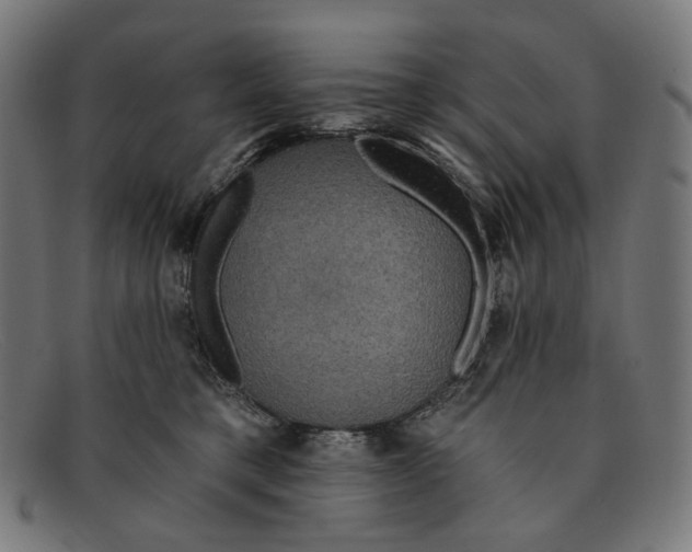 X0000091460421200709131737