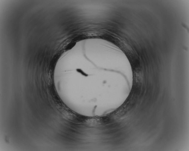 X0000091460422200709131737