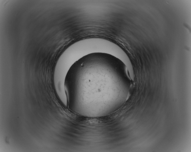X0000091460423200709131737
