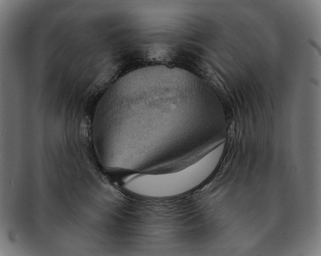 X0000091460424200709131737