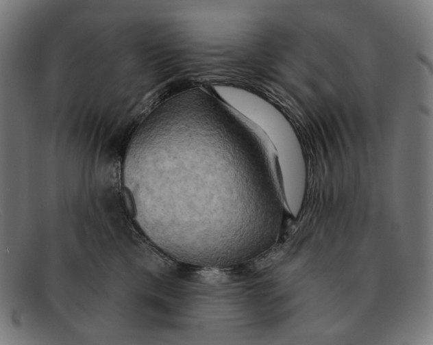 X0000091460425200709131737