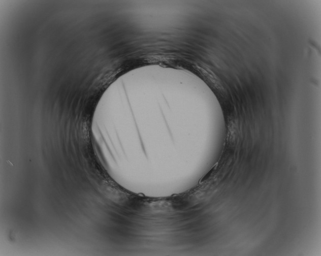 X0000091460426200709131737