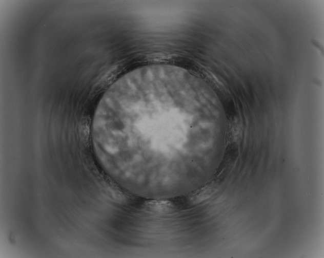 X0000091460427200709131737