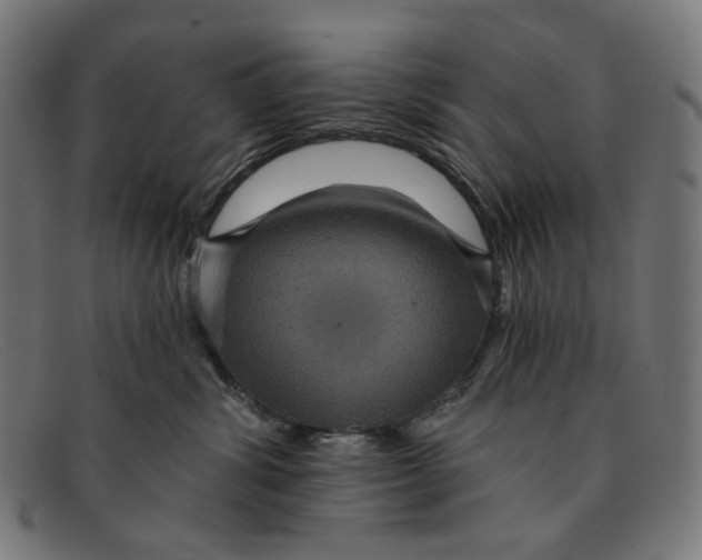 X0000091460428200709131737