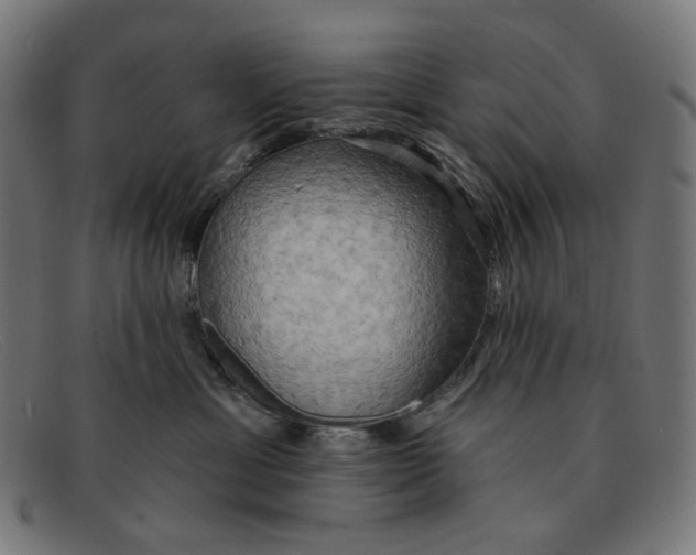 X0000091460429200709131737