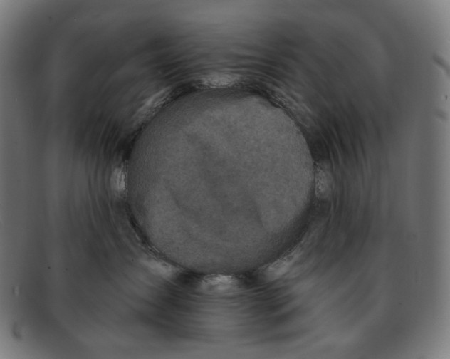X0000091460431200709131737